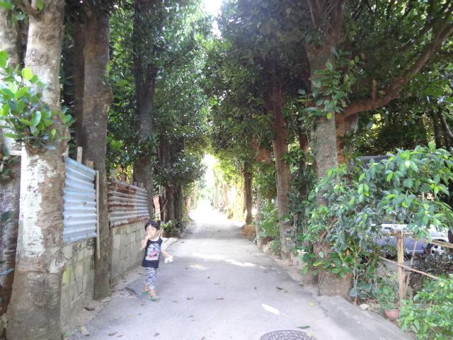 منزل الضيف موتوبو  في Bise House المظهر الخارجي الصورة